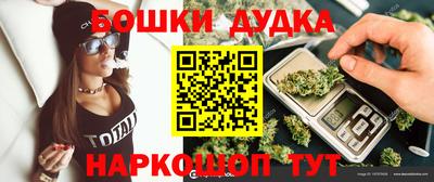 spice Гай