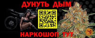 СК Гагарин