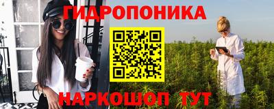СК Гагарин