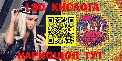 spice Гай