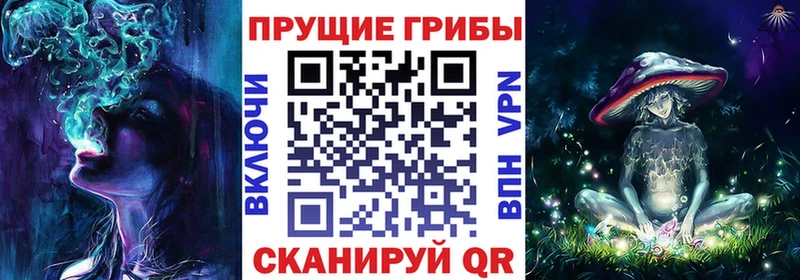 Галлюциногенные грибы MAGIC MUSHROOMS  цена наркотик  Кстово 