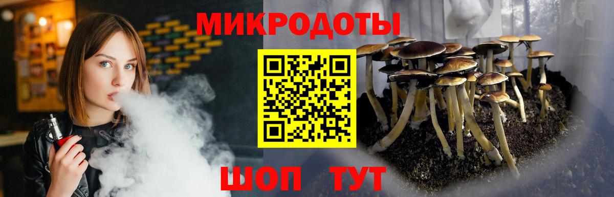 Галлюциногенные грибы Psilocybine cubensis Кстово